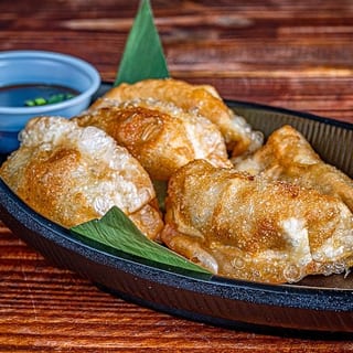 Tiesto Gyozas